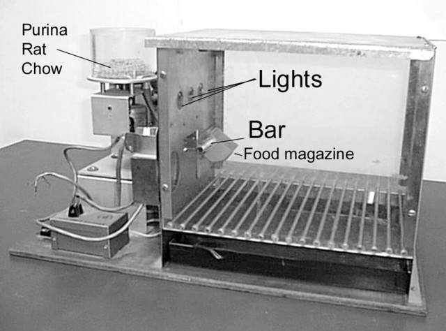 The Skinner Box Experiment