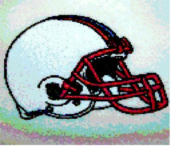 Crash tried out for the school football team