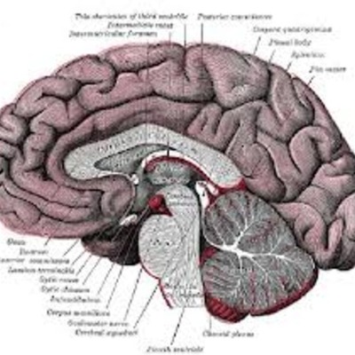 Timeline: History of Psychology