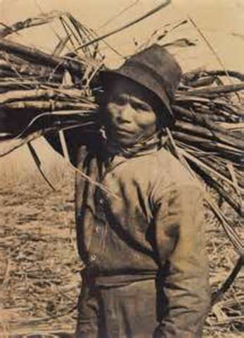 Harriet was hired as a field worker.