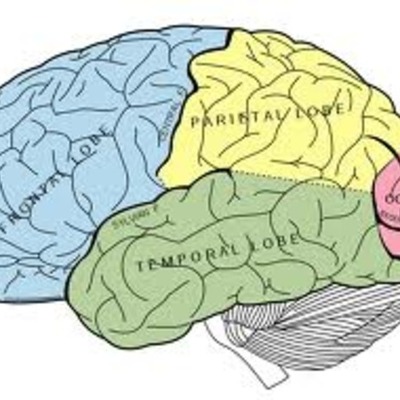 Timeline: Timelinw : Dallas Hubley