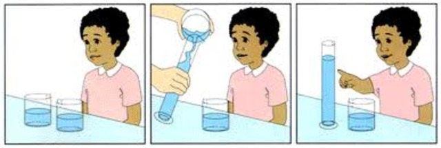 Jean Piaget's Theory of Cognitive Development