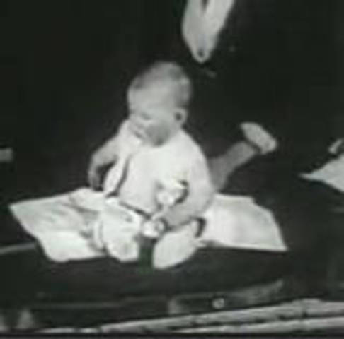 Little Albert Experiment