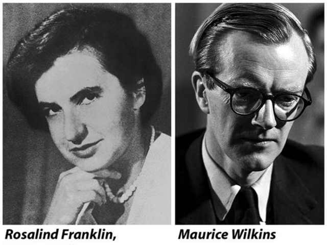 Franklin and Wilkins