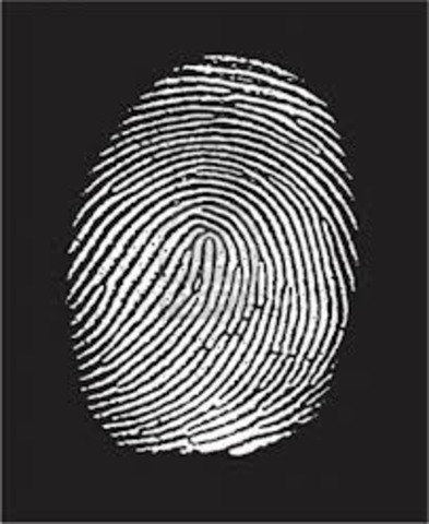 The German government passes a decree requiring the registration of all Gypsies without a fixed address living in Austria; by June 1938, all Gypsy children above the age of 14 have to be fingerprinted. This is a central part of the growing racial definiti