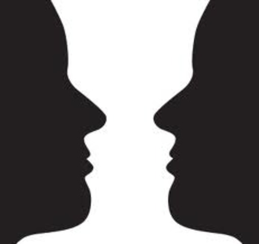 The Rubin Vase-Face Experiment