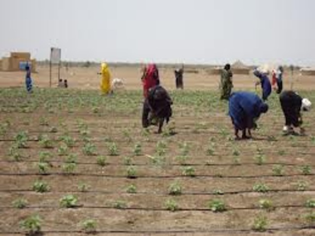 scarcity of jobs and food