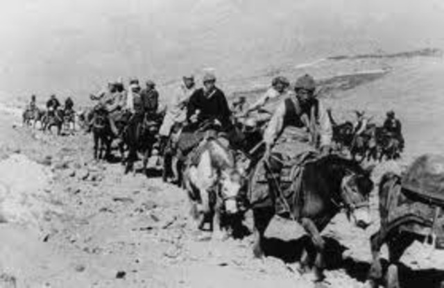 Dalai Lama fled to India