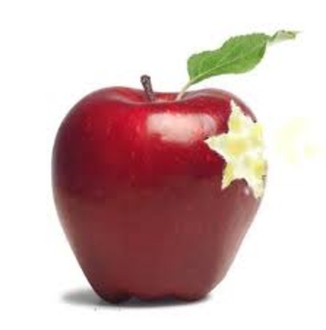 The Ministry of Science and Education prohibits teaching by "non-Aryans" in public schools and bans private instruction by Jewish teachers.