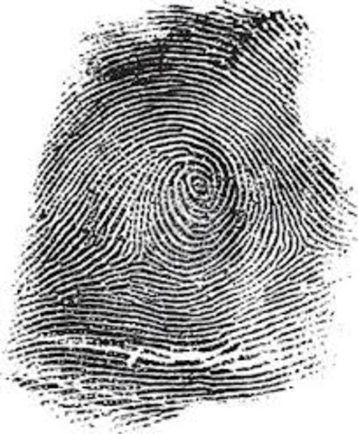 The German government passes a decree requiring the registration of all Gypsies without a fixed address living in Austria; by June 1938, all Gypsy children above the age of 14 have to be fingerprinted. This is a central part of the growing racial definiti