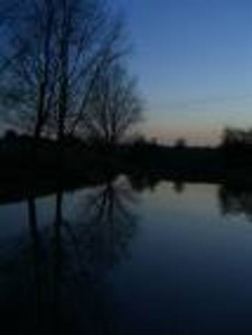 Lucy's sleep walking