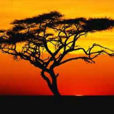 Timeline: African Empire Timeline By Hanna Brown