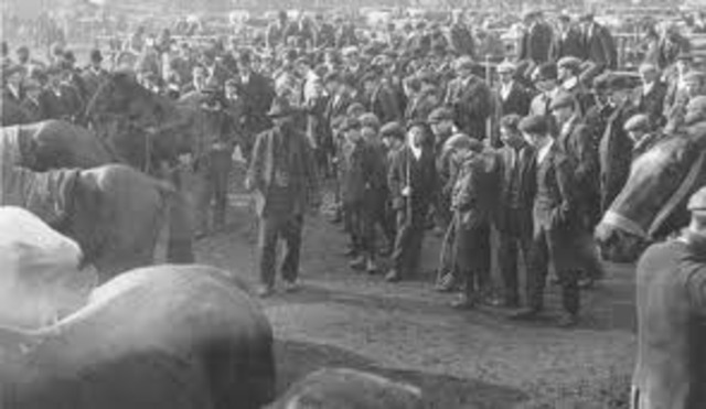 Two-thousand Gypsy males above the age of 16 are arrested in Burgenland Province (formerly Austria) and sent to Dachau and Buchenwald concentration camps; 1,000 Gypsy girls and women above the age of 15 are arrested and sent to the Ravensbruck concentrati