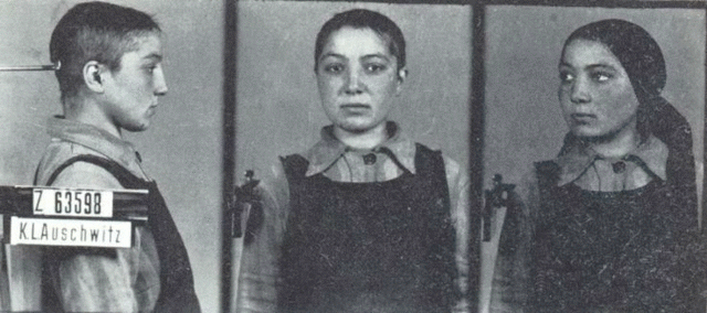 First major wave of arrests of homosexuals occurs throughout Germany, continuing into November.