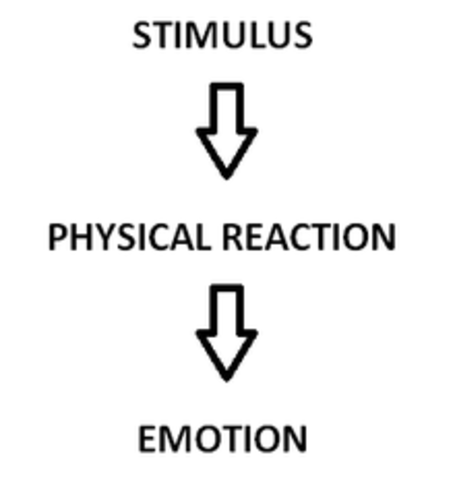 James-Lange Theory of Emotion