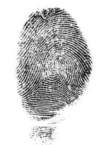 The German government passes a decree requiring the registration of all Gypsies without a fixed address living in Austria; by June 1938, all Gypsy children above the age of 14 have to be fingerprinted. This is a central part of the growing racial definiti