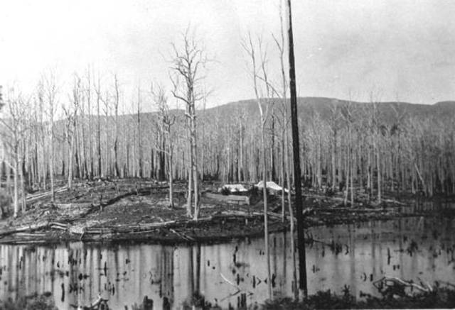 1939 ~ Bushfires and World War ll