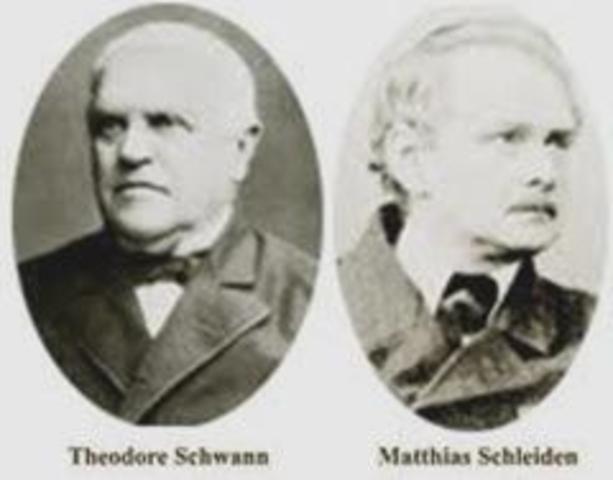 Matthias Schleiden and Theodor Schwann