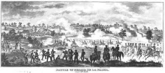 wounded at a batle of resaca de la palma