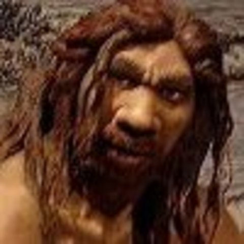 Homo Heidelbergensis