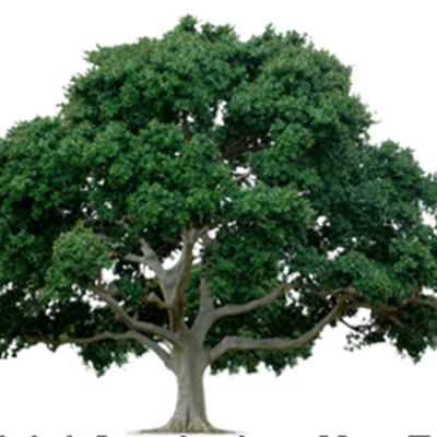 Timeline: SCS  CCES  Implementation