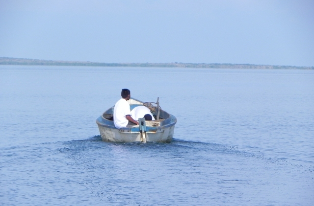 Recuperación Stock pesquero