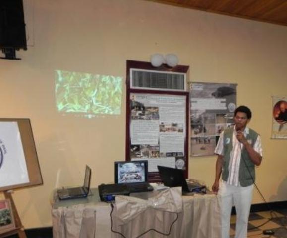 Curso teórico-práctico (peces)