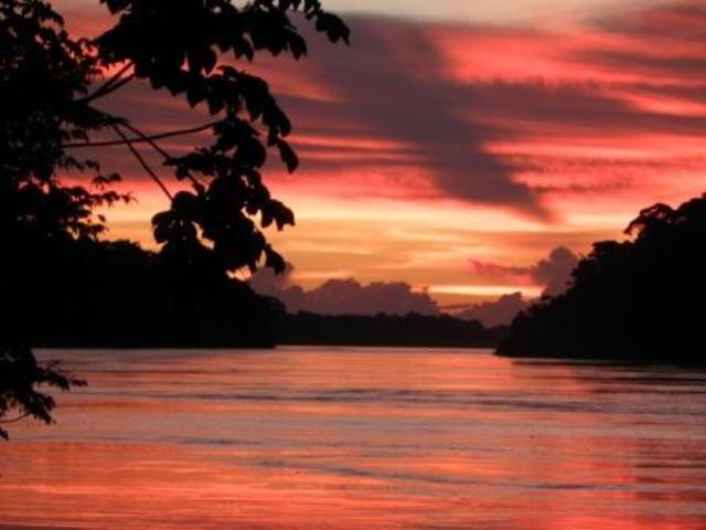 Caracterización de la comunidad de anuros