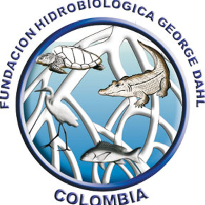 Timeline: HISTORIA FHGD