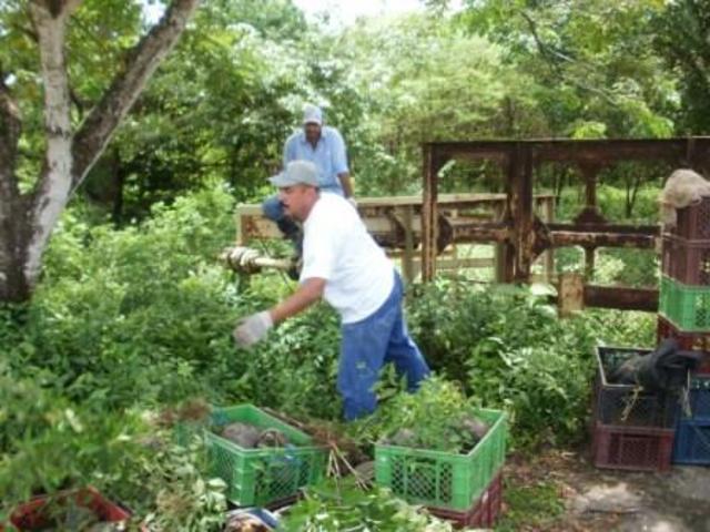 Capacitación en la implementación de técnicas agroecológicas en cultivos de pan coger