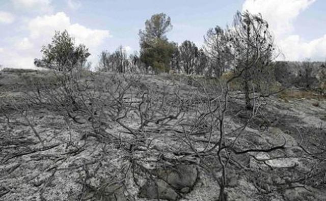 What happened to the Fire?