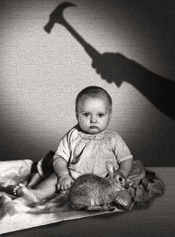 Little Albert (John B. Watson)