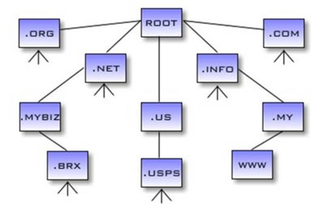 Domain Name System (DNS)