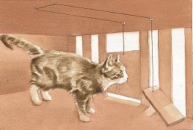 Edward Thorndike Law-of-Effect