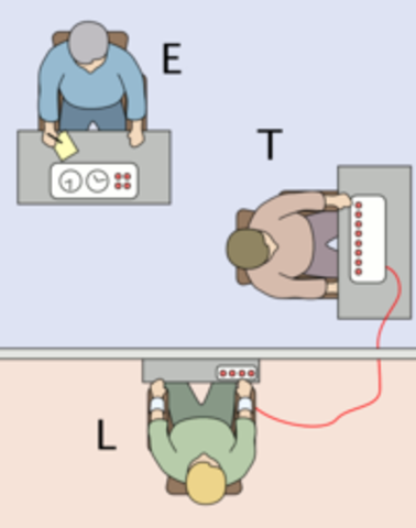 Milgram Obedience