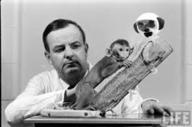 Harry Harlow's Monkey Experiment