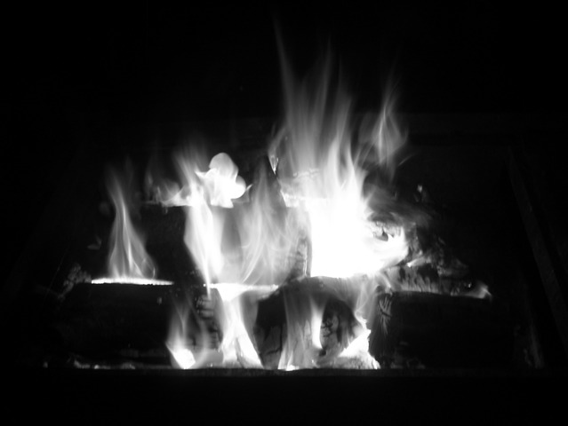 People rely heavily on wood as a heat source and for cooking