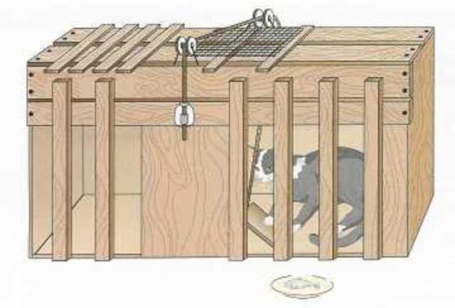 cat box operant b.f skinner