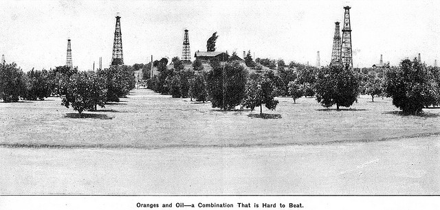 Oil is discovered in Signal Hill, California. This oil field becomes one of the most prolific in U.S. history