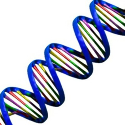 Timeline: History of DNA Discovery