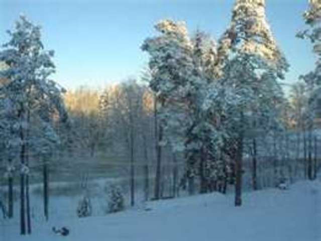 Temperatures dropped 12 degrees below zero