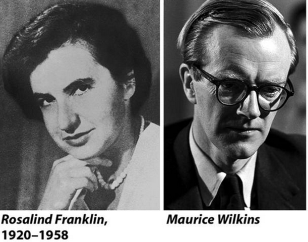 Franklin and Wilkins