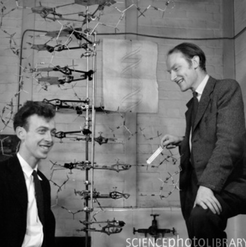 Watson and Crick