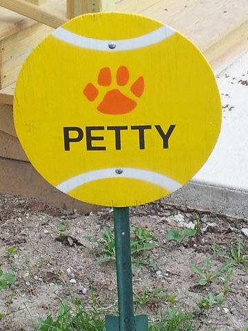 Hace un año que jugé al tenis.