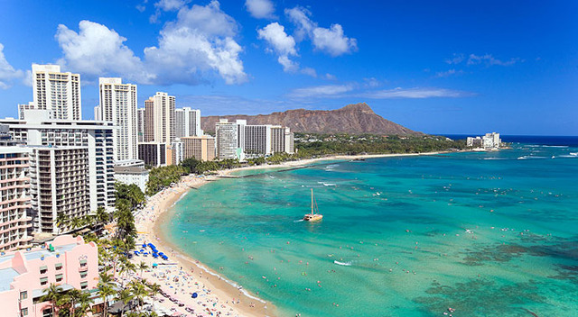 Consultant to the Casualty and Mortuary Affairs Operations Center’s Central Identification Laboratory