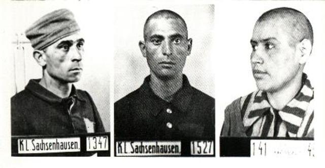 Two-thousand Gypsy males above the age of 16 are arrested in Burgenland Province (formerly Austria) and sent to Dachau and Buchenwald concentration camps; 1,000 Gypsy girls and women above the age of 15 are arrested and sent to the Ravensbruck concentrati