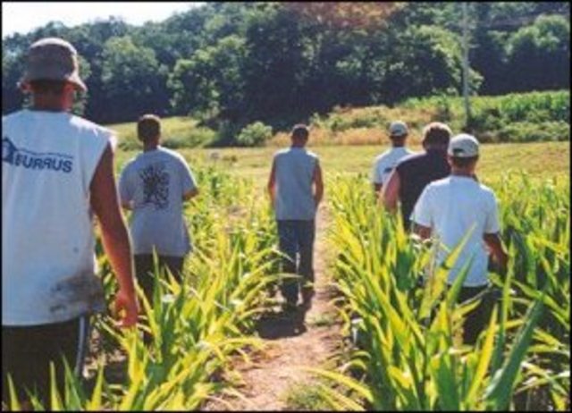 Hace dos anos que trabaje mi primero empleo.