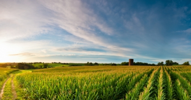 Hace tres años que visité Iowa.