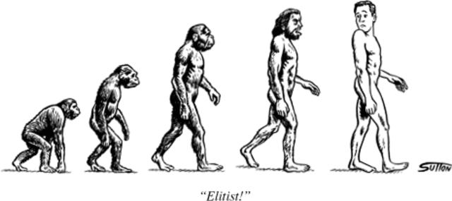 The Evolution of Desire