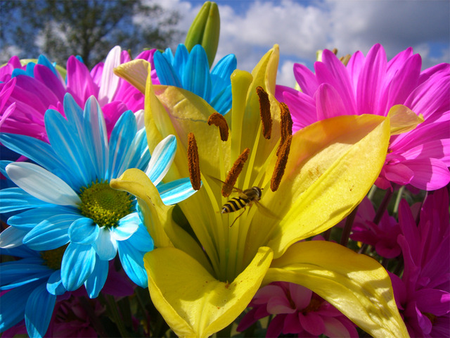 Nace mi hermana Mara